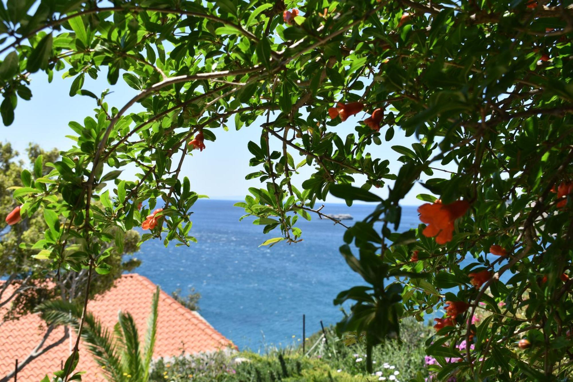 Voukelari Rooms Plakias Exteriér fotografie